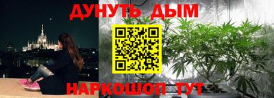 2c-b Новозыбков