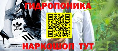 прущие грибы Новодвинск