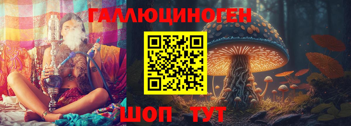Галлюциногенные грибы ЛСД Сочи
