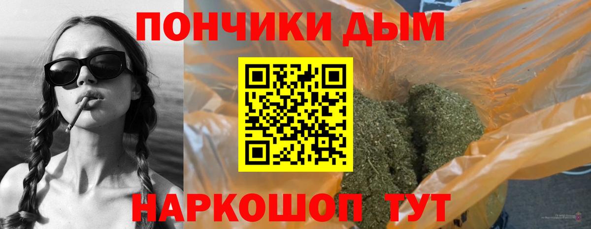 Шишки марихуана марихуана Сочи